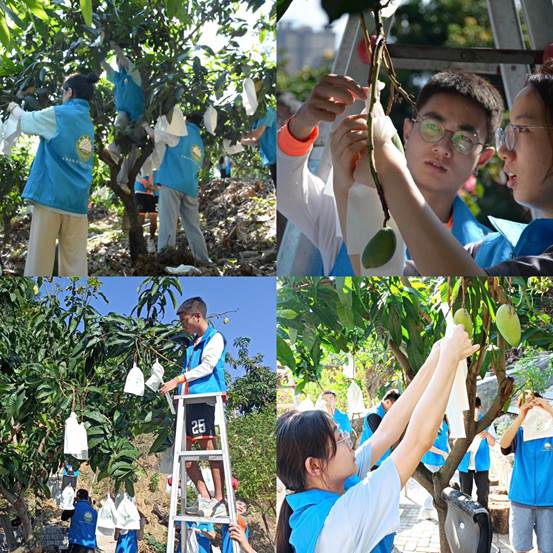 下载香港宝典2021 下载香港宝典2021
