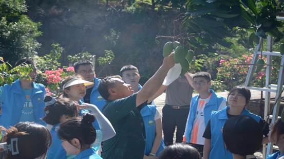 下载香港宝典2021