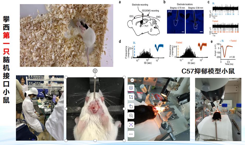 下载香港宝典2021
