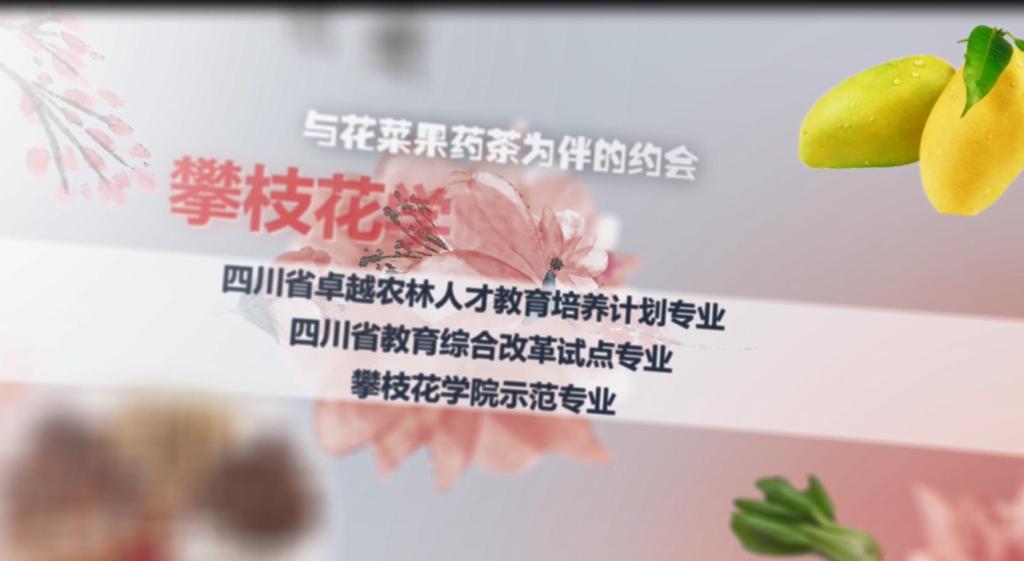 下载香港宝典2021