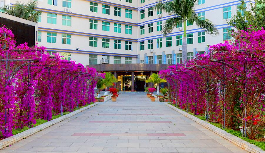 三角梅种质资源库规划建设