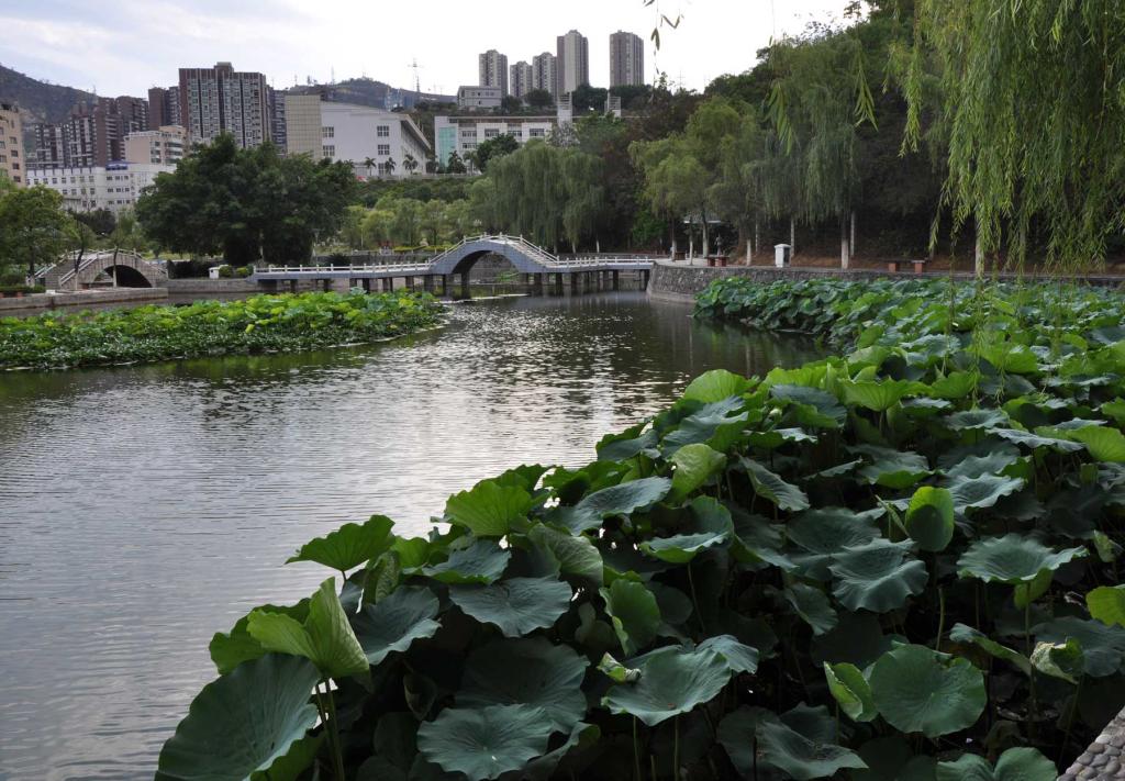 下载香港宝典2021